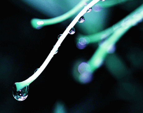 Mizacın Kaynağı: DOĞA