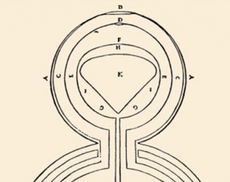 İbn-i Sina Öğretileri